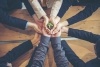 Business people's hands holding flower for sustainability