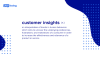 Customer Insights definition